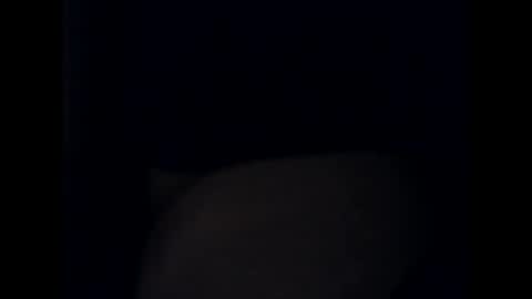 Snapshot of antxon12 chatting on October 13, 2025, 10:54 pm antxon12 online show from October 13, 2025, 10:54 pm