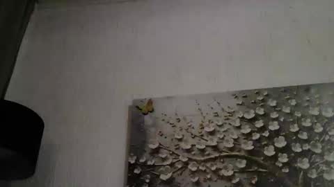 Snapshot of anybigtitts chatting on March 1, 2026, 4:42 pm AnyBigTitts online show from March 1, 2026, 4:42 pm