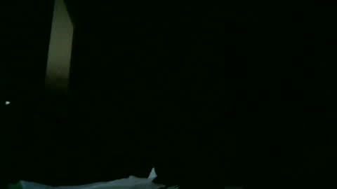 Snapshot of apixaba chatting on March 9, 2025, 8:21 pm furry bear online show from March 9, 2025, 8:21 pm