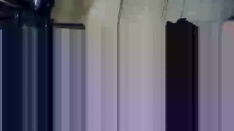 apocolypseanomaly online show from December 28, 2024, 11:59 pm