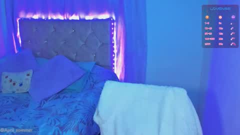  April  online show from November 19, 2025, 10:04 am