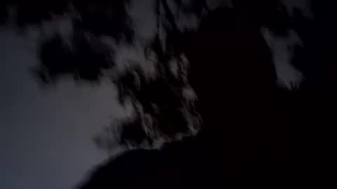 ARCHANGEL MICHAEl online show from January 19, 2025, 11:34 am