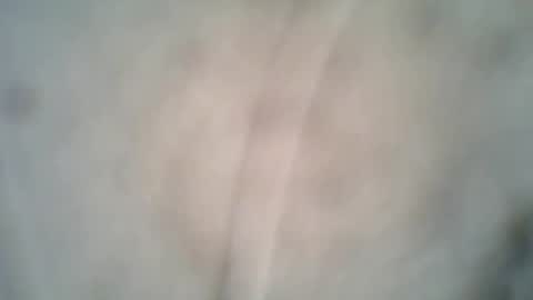 olo online show from October 8, 2025, 6:38 pm