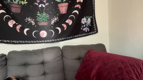 Aria Fields online show from December 4, 2024, 5:33 pm