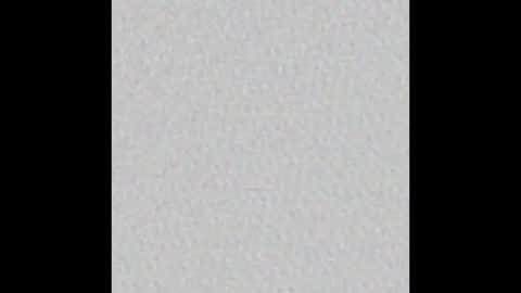 Arianna Collins online show from February 12, 2026, 11:38 am