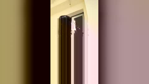 arilavish online show from April 11, 2026, 5:34 am