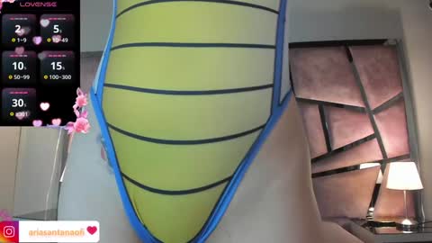 Aria online show from December 28, 2024, 11:09 am