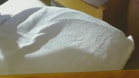 Snapshot of arnie12 chatting on December 22, 2024, 8:47 pm Arnie  online show from December 22, 2024, 8:47 pm