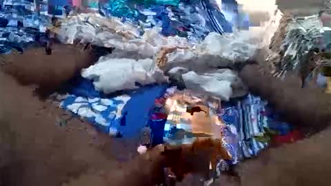 arshkhant987 online show from September 16, 2025, 5:41 am