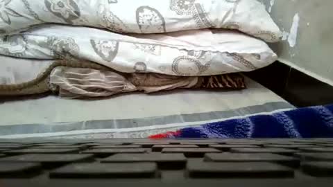 Snapshot of art_max99xxx chatting on January 16, 2025, 1:16 am art_max99xxx online show from January 16, 2025, 1:16 am