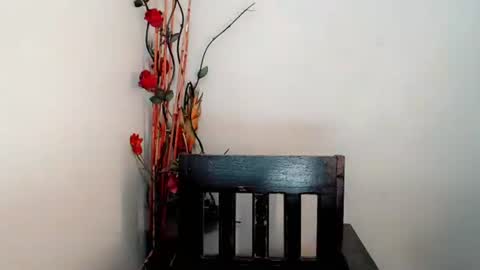 Snapshot of arya_lightning chatting on February 9, 2026, 6:01 pm ARYA online show from February 9, 2026, 6:01 pm