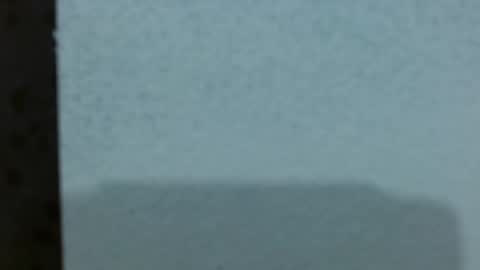  Ashley online show from March 6, 2026, 3:25 am