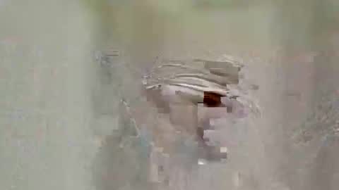 asifzamma online show from April 25, 2026, 8:50 am