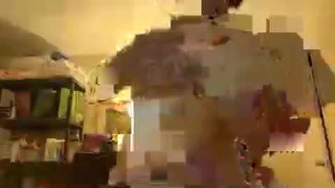 Patty online show from November 30, 2025, 3:32 am