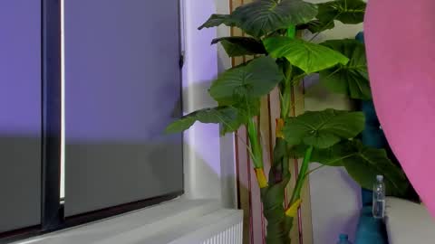 Snapshot of asshleysing chatting on February 23, 2026, 6:00 am AsshleySing online show from February 23, 2026, 6:00 am