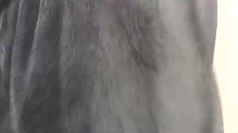 Assiology online show from February 17, 2025, 4:15 pm