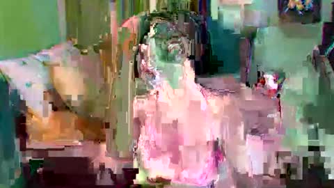 asuntapony online show from September 11, 2025, 3:06 am