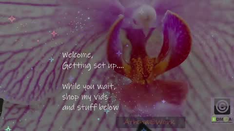 Atrena online show from April 15, 2026, 2:07 am