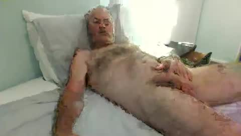 auckland26 online show from December 2, 2025, 9:47 am