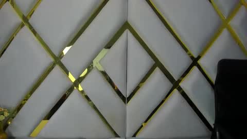 Snapshot of aurora18palmer chatting on December 20, 2024, 2:27 pm aurora online show from December 20, 2024, 2:27 pm