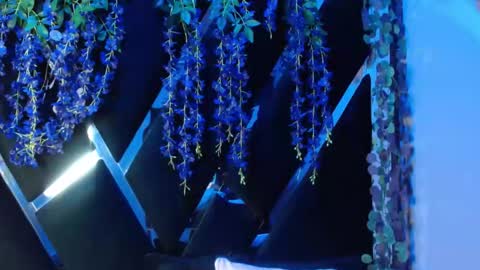 Snapshot of aurora18palmer chatting on September 18, 2025, 2:19 pm aurora online show from September 18, 2025, 2:19 pm