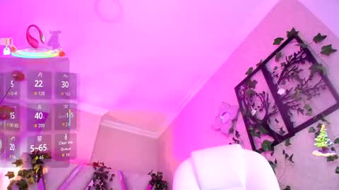 Aurora online show from December 4, 2025, 6:12 am