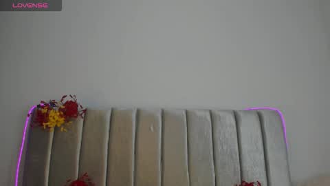 Snapshot of aurora_johnson_ chatting on November 29, 2025, 4:26 am A U R O R A online show from November 29, 2025, 4:26 am