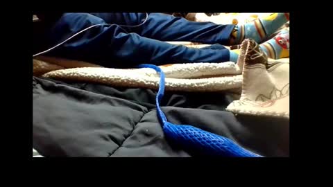 Snapshot of automaticmechanic chatting on December 4, 2024, 4:38 pm Senior Agua online show from December 4, 2024, 4:38 pm