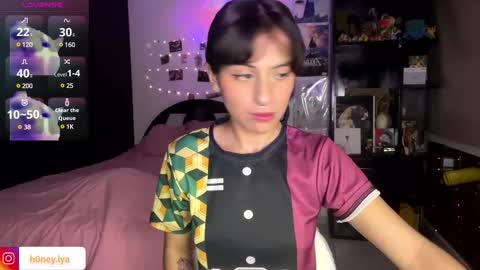 Snapshot of b0nnie_h0ney chatting on January 17, 2025, 11:29 pm Lyanna online show from January 17, 2025, 11:29 pm