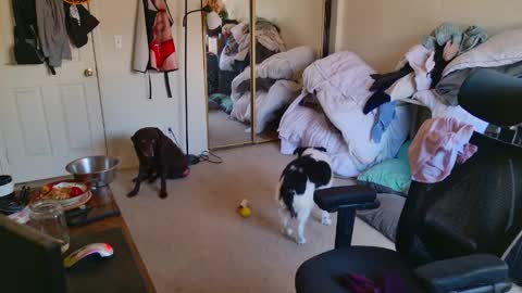 b1gbanana online show from March 13, 2026, 7:09 pm