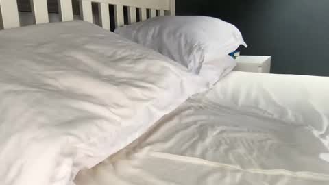 Snapshot of b1gd0ng1111 chatting on September 17, 2025, 9:44 am b1gd0ng1111 online show from September 17, 2025, 9:44 am