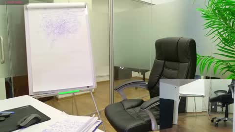 Snapshot of babesgowild chatting on February 9, 2025, 11:36 pm Olivia and Lexi online show from February 9, 2025, 11:36 pm