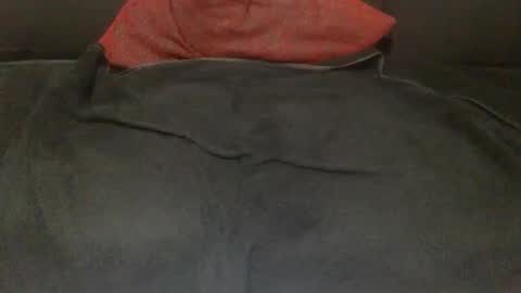 babo838383 online show from November 8, 2025, 5:18 am