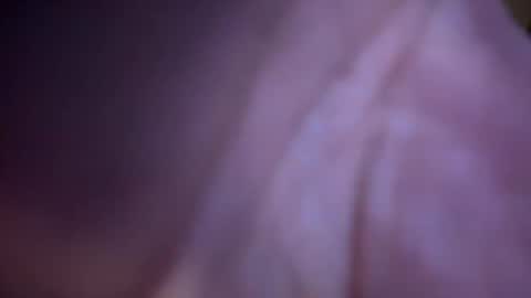 Snapshot of baby_buddha chatting on January 29, 2025, 1:28 pm baby buddha  online show from January 29, 2025, 1:28 pm