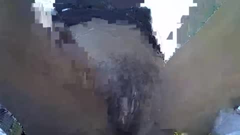 baby_facii online show from November 2, 2025, 7:55 am