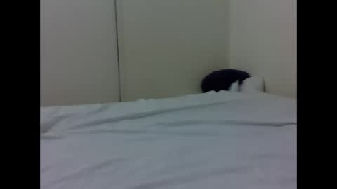 needoh online show from April 26, 2026, 4:37 pm