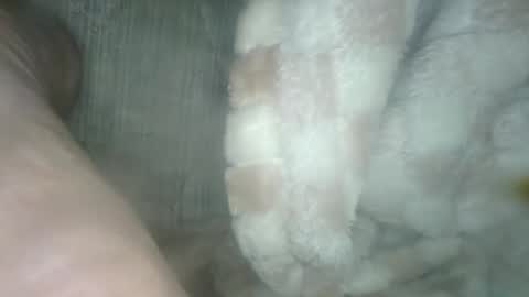 Snapshot of babyxxxangel chatting on December 19, 2024, 5:40 am babyxxxangel online show from December 19, 2024, 5:40 am