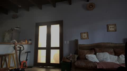 Baddaddybrazil online show from January 1, 2025, 6:38 pm