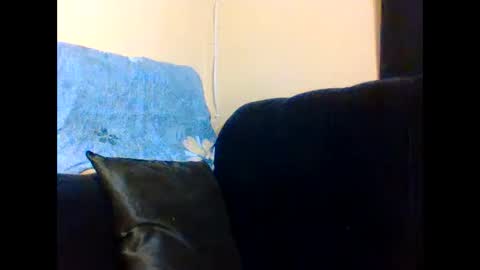 Lily. online show from December 3, 2025, 1:31 pm