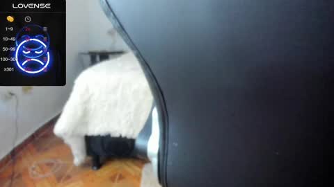 Snapshot of baileyadamss chatting on February 17, 2025, 5:47 am IM BAILEY online show from February 17, 2025, 5:47 am