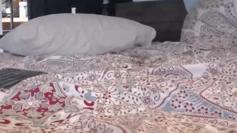 Snapshot of baker305 chatting on September 29, 2025, 4:17 am baker305 online show from September 29, 2025, 4:17 am