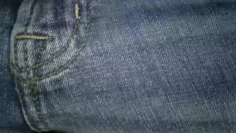 boton online show from November 22, 2025, 11:42 am