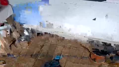 ballshanginglowaf online show from February 1, 2026, 12:31 am