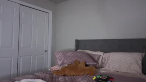 bambifarrina online show from October 2, 2025, 1:56 am