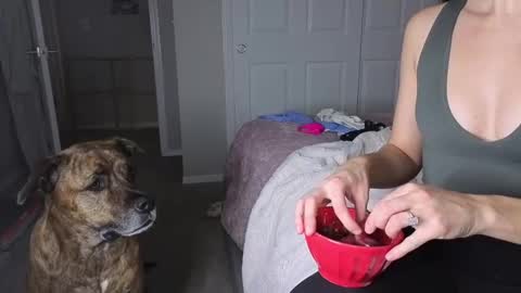 bambifarrina online show from January 18, 2026, 5:11 am