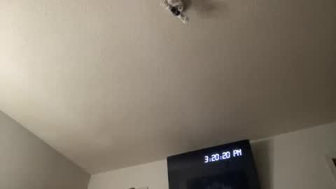 Chelly online show from March 25, 2026, 7:20 pm