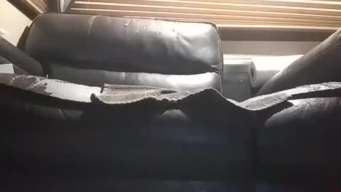 baobabtree10 online show from October 28, 2025, 12:09 pm