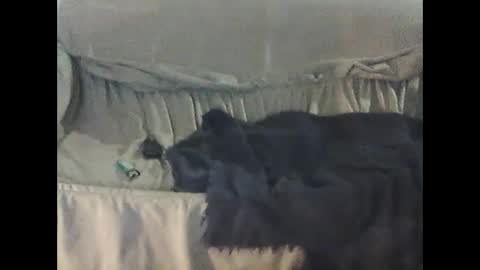 Snapshot of barrysand chatting on September 23, 2025, 2:14 am barrysand online show from September 23, 2025, 2:14 am