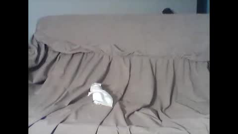 Snapshot of barrysand chatting on November 11, 2025, 4:12 am barrysand online show from November 11, 2025, 4:12 am