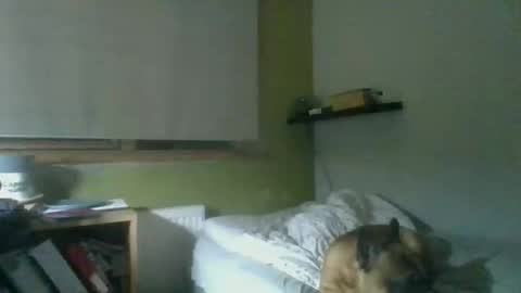 Snapshot of bart_poland chatting on October 23, 2025, 9:02 pm bart_poland online show from October 23, 2025, 9:02 pm